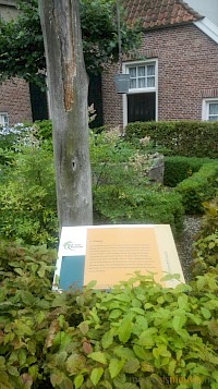 Stokkum op de kaart