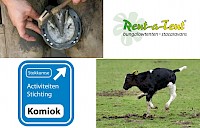 Happend en stappend naar 3 Stokkumse bedrijven