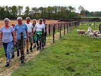 Gezellige avondwandeling (wekelijks)