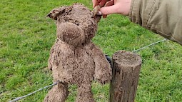 Gevonden bruine Knuffelbeer