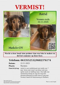 Hond Astrid nog steeds zoek !! HELP MEE ZOEKEN